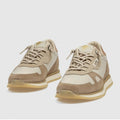 DEPORTIVO CETTI 1397 DESSERT