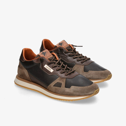 DEPORTIVO CETTI 1397 MOKA