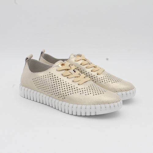 DEPORTIVO GOLD 80798